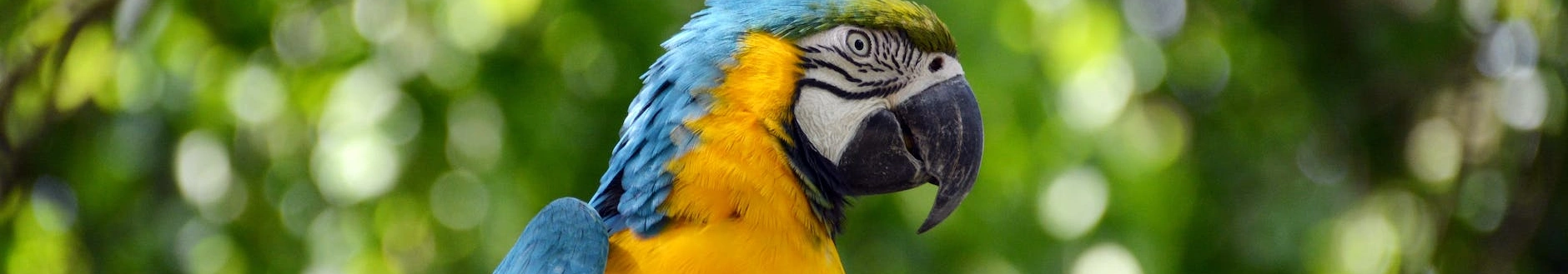 Farbe im Deadline-Dschungel